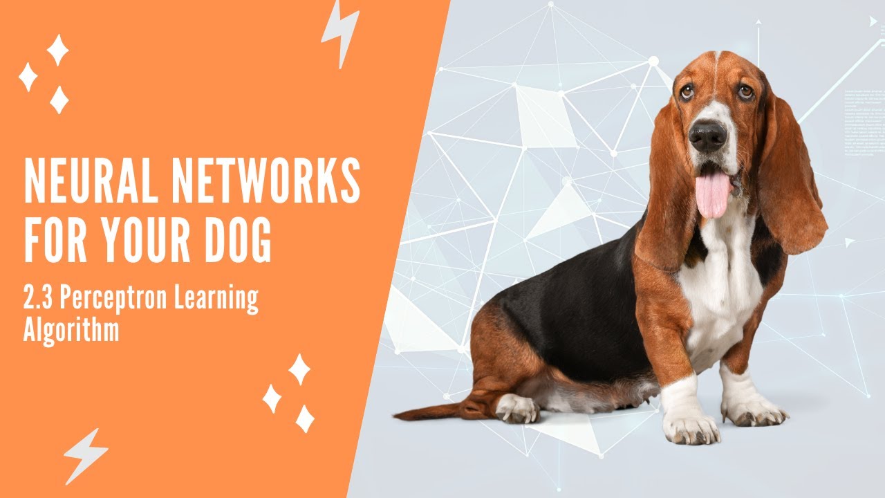 Neural Networks for Dogs: Perceptron Algorithm 🐶