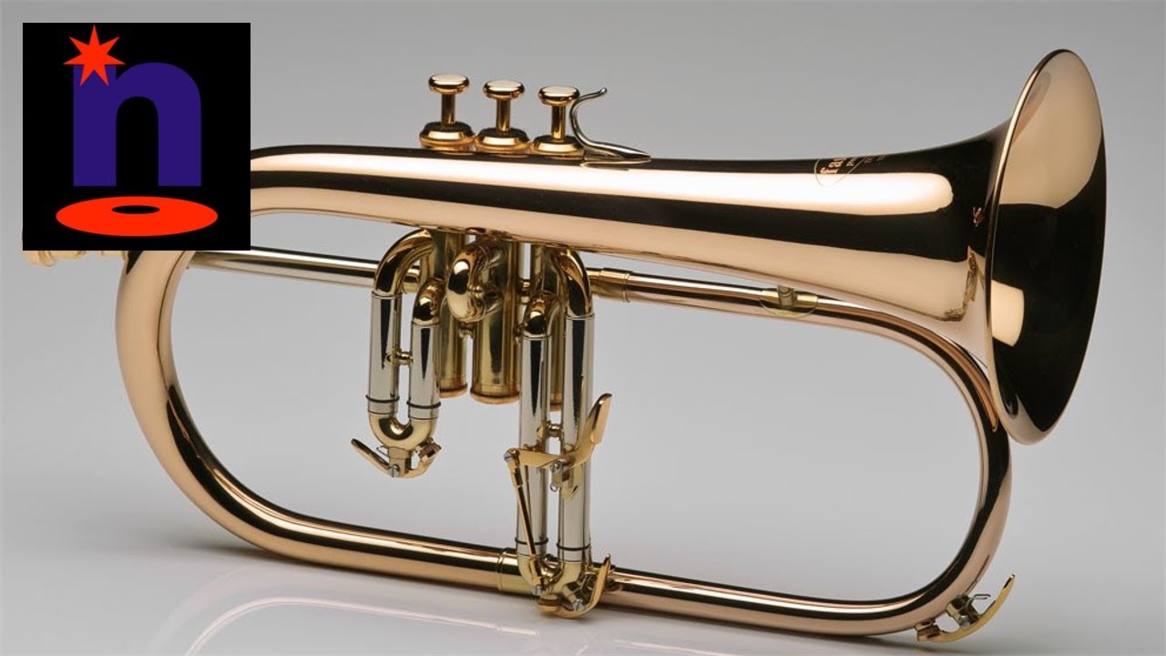 "Who Said More Brass???" | Experimental | 2019