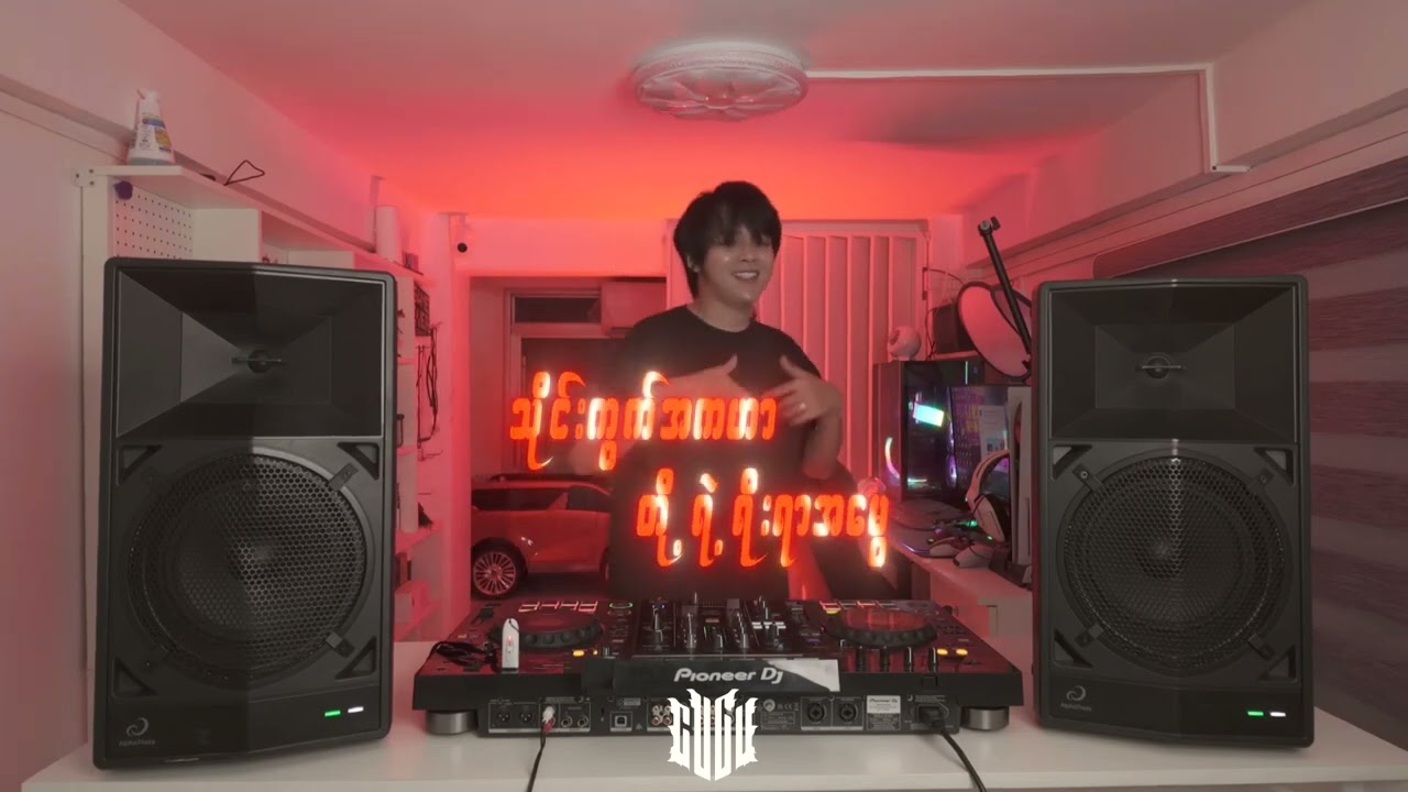 ပင်စိမ်းသီးပိုးထိုး Remix 🎶