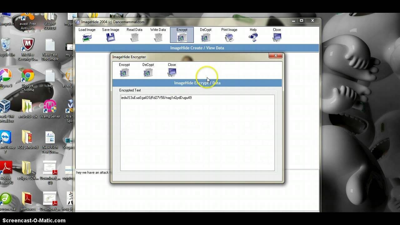 Learn How to Hide Text in Images with Steganography 🔒