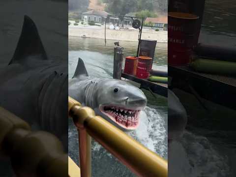 Is it WORTH IT? - most expensive Universal Studios VIP ticket #amusementpark #fun