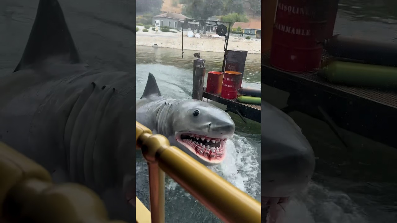 Is the Most Expensive Universal Studios VIP Ticket Worth It? 🤔