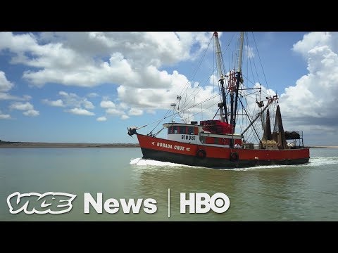 Staffing Shrimp Boats & Al Gore Returns: VICE News Tonight Full Episode (HBO)