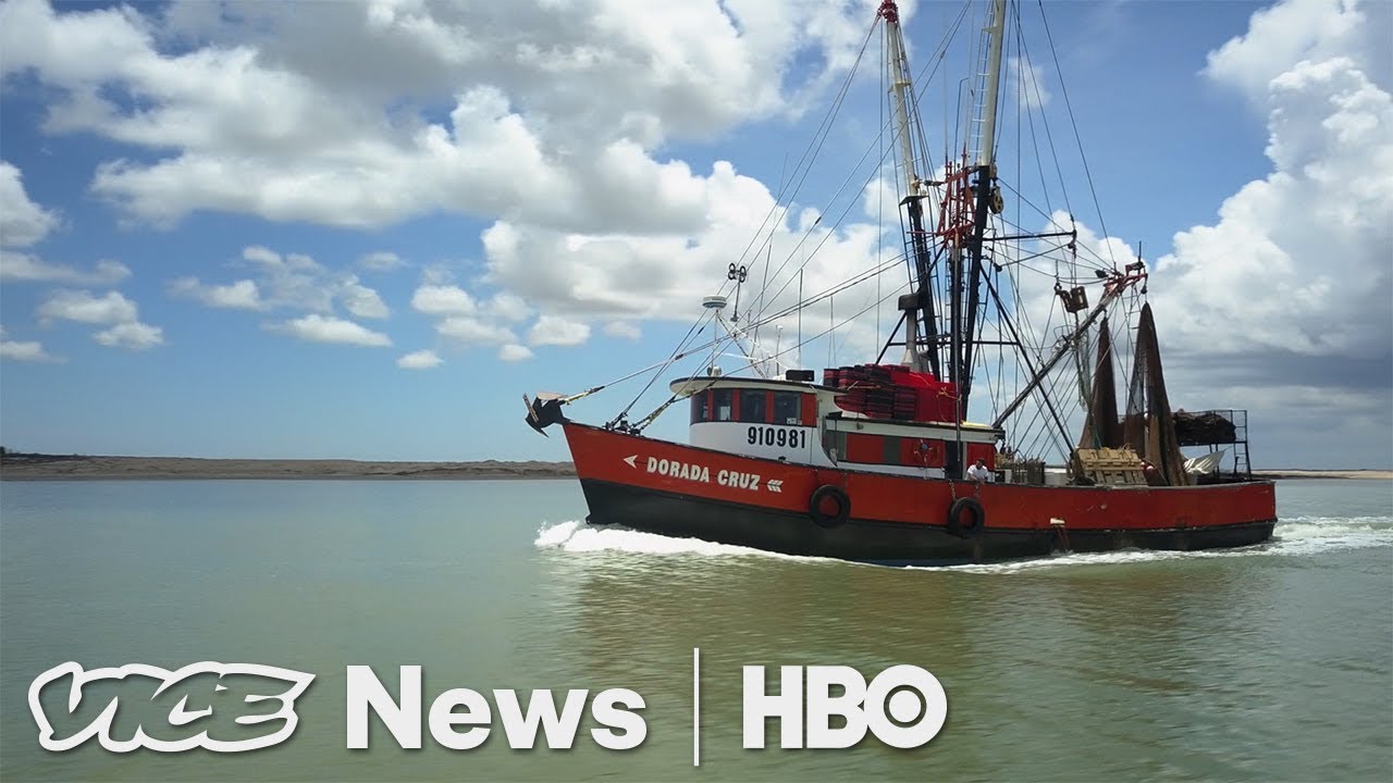 VICE News Tonight: Shrimp Boat Staffing & Al Gore's Return π’