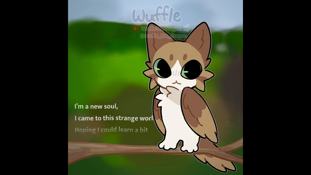 Meowl || #animation #fyp #trend #meowl
