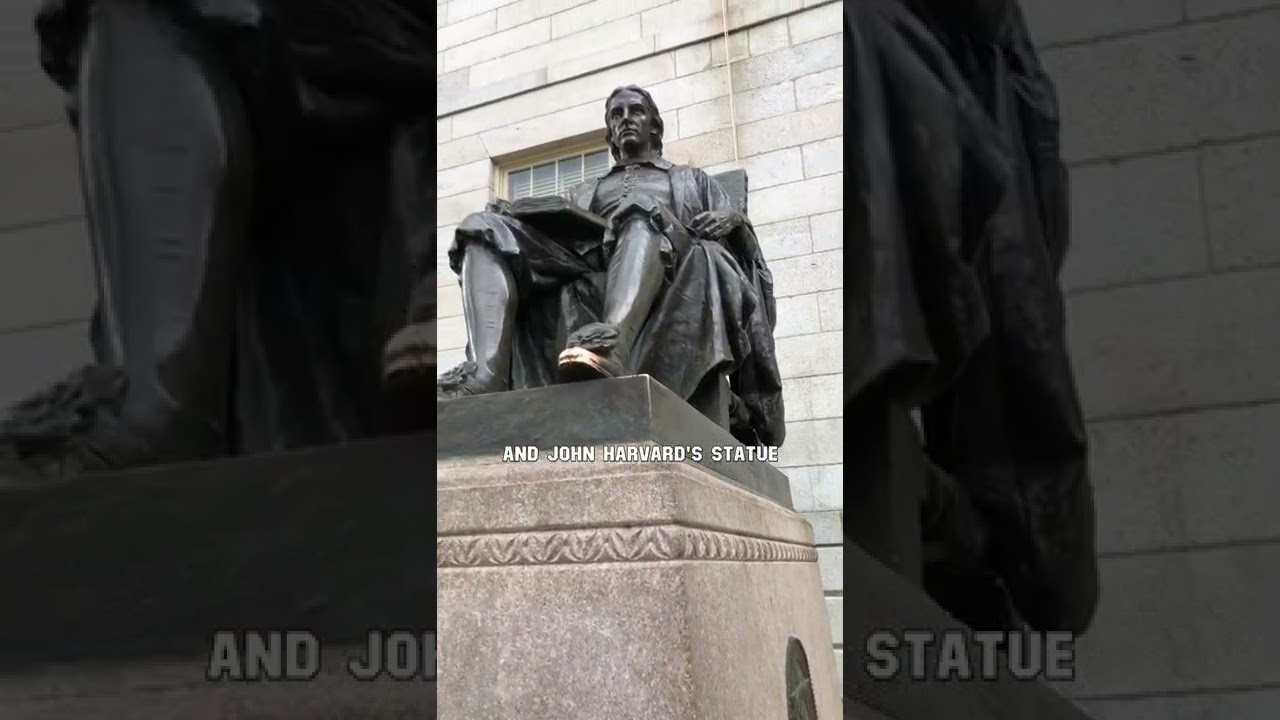 Harvard University Tour 🎓