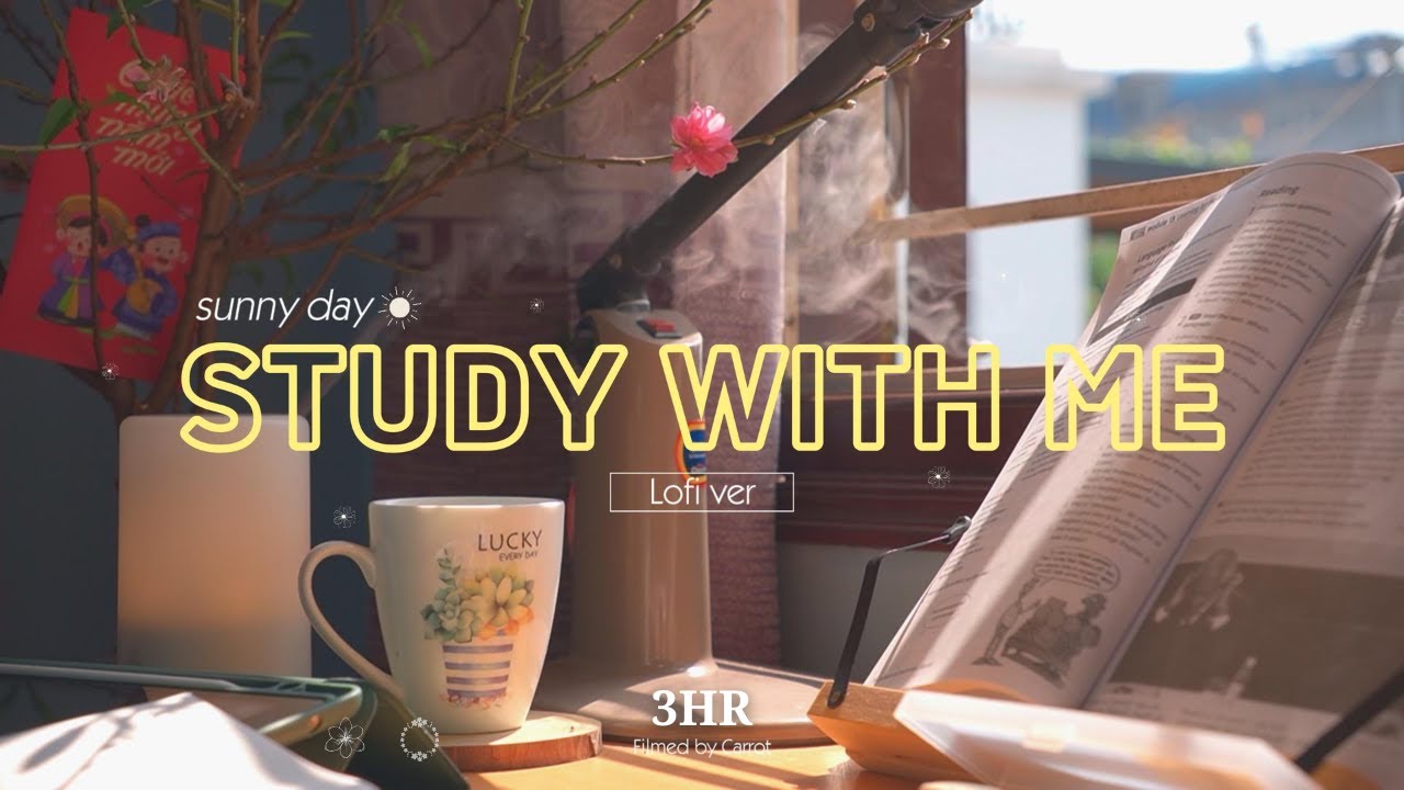 3-Hour Relaxing Study Session | Lo-Fi Beats & Sunny Spring Vibes ๐ธ