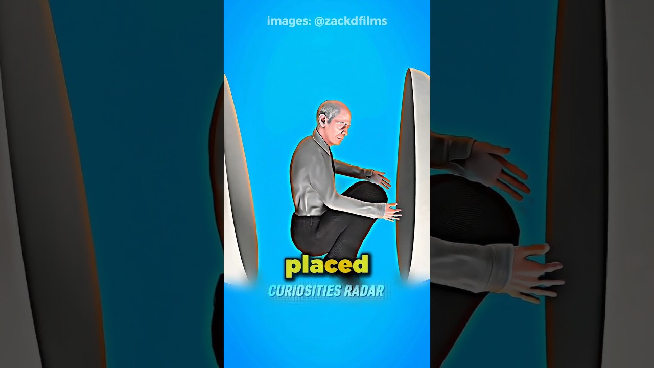 What Happens When You Are Buried Inside a Capsule to Become a Tree