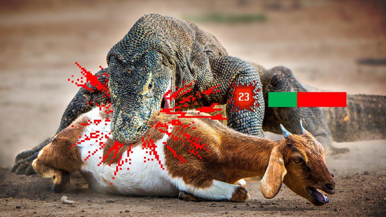Lizard Tier List ๐ฆ