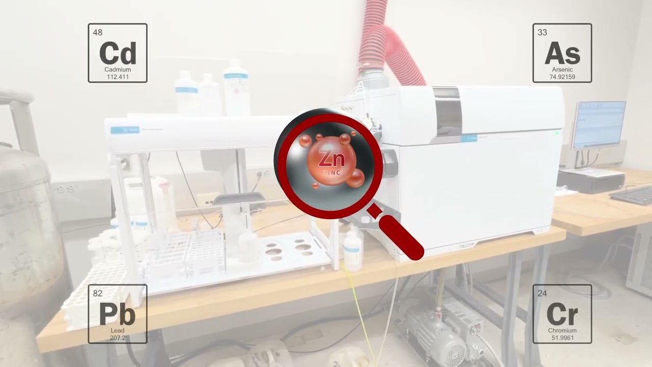 ICP-MS Method for Metabolomic Analysis in Biological Samples