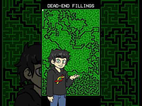 I Coded Maze Solving Algorithms