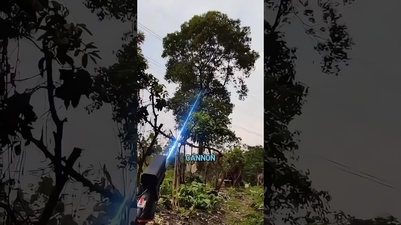 Revolutionary Laser Technology for Tree Cutting