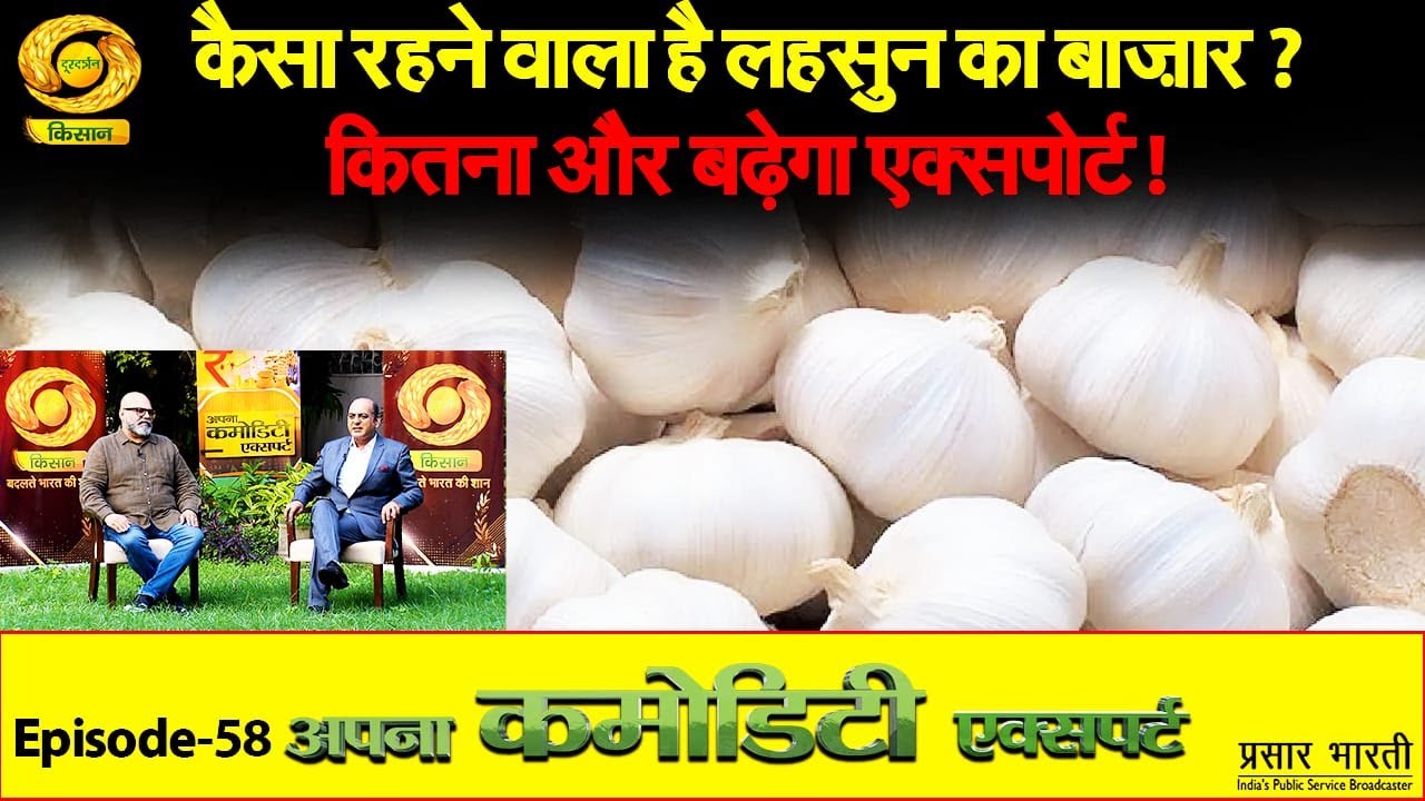 Apna Commodity Expert: कैसा रहने वाला है लहसुन का बाज़ार ? | DD Kisan | 24/10/2025