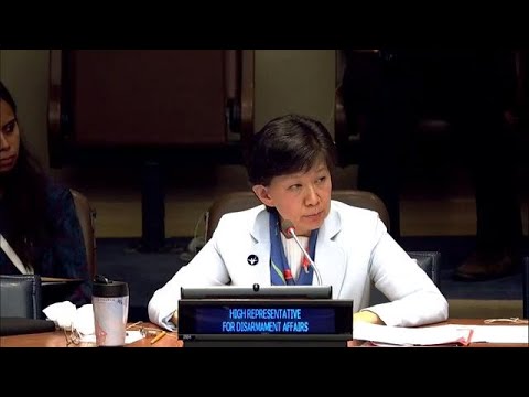 50M Affected by Armed Conflicts - Disarmament Briefing