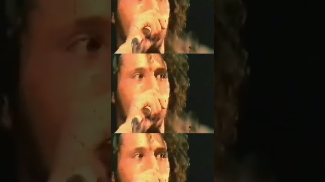 Vietnow at Rock am Ring 29 Years Ago ๐ธ