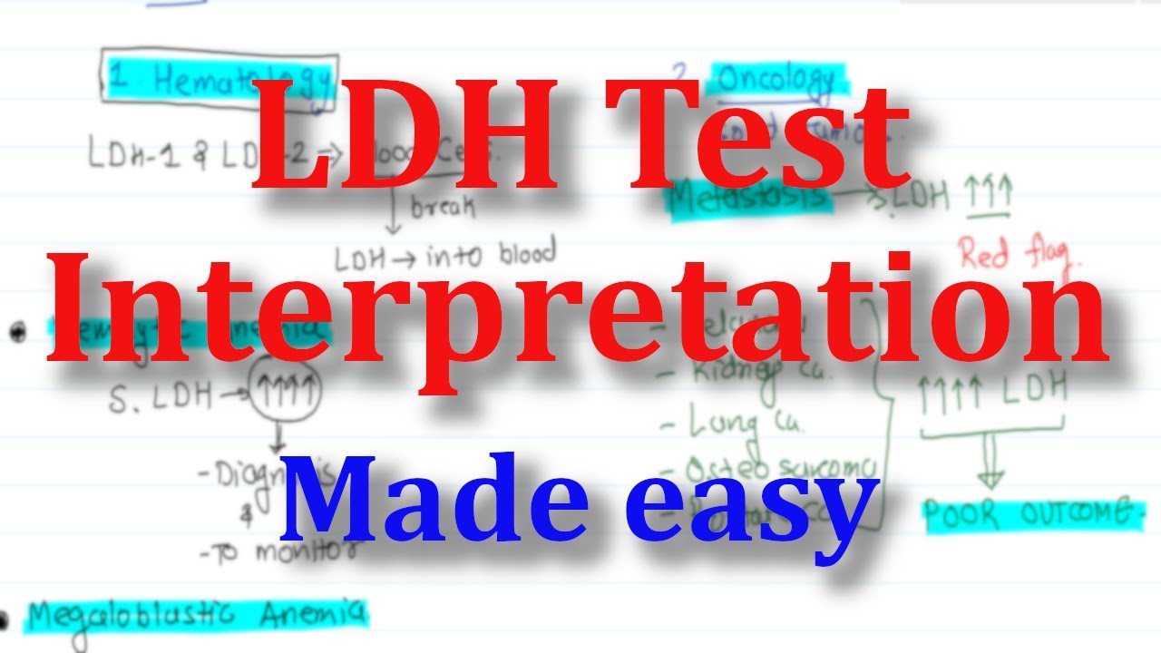 LDH Test: When It’s Really Useful 🧪