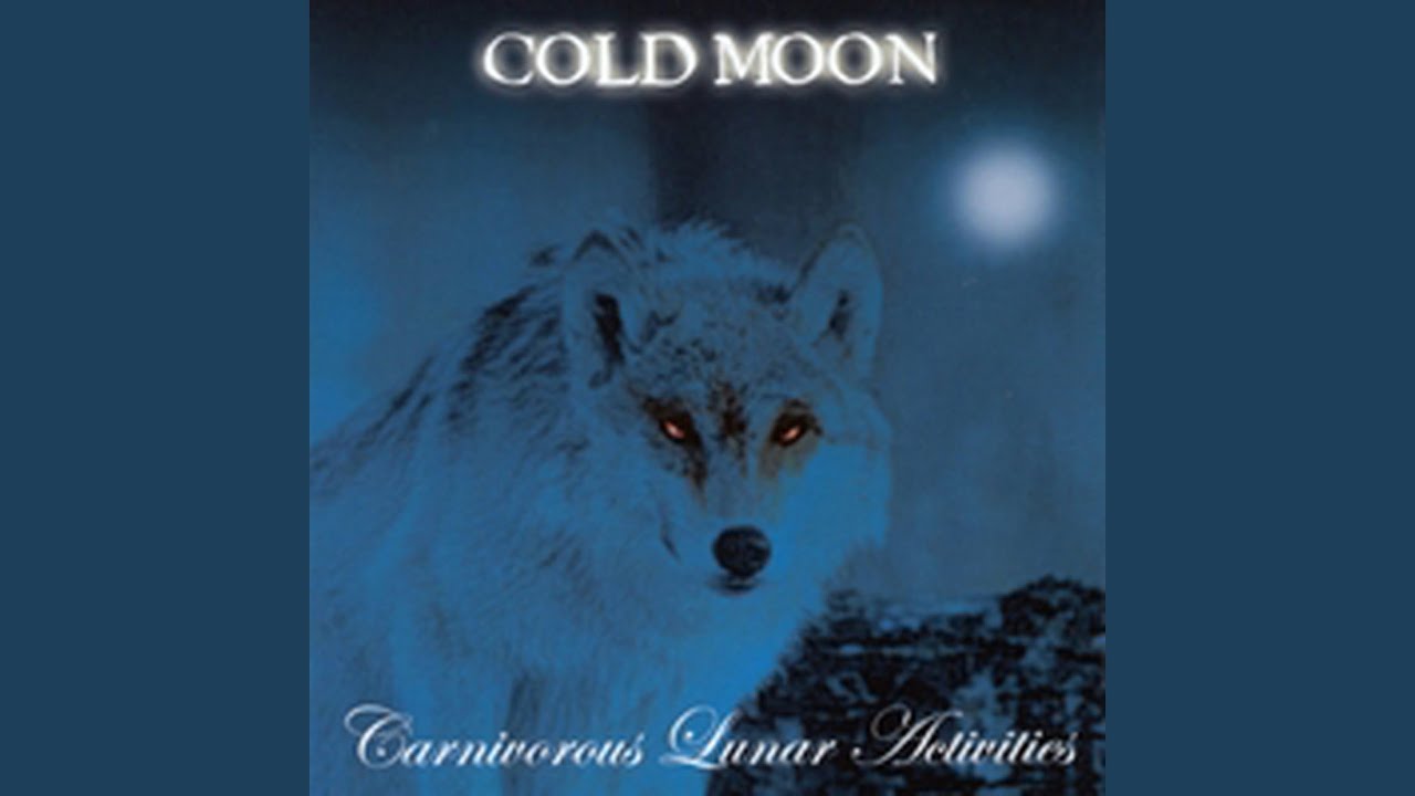 Silver Soul by Cold Moon (2002) 🎶