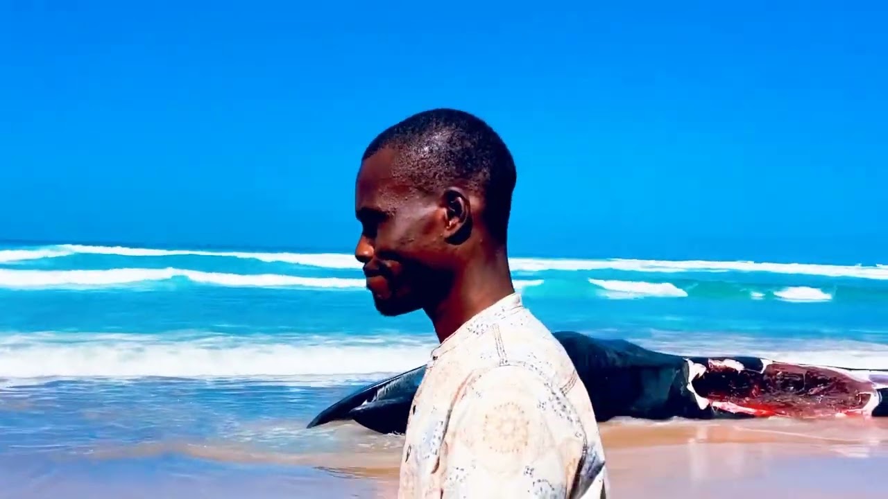 Découverte d'une baleine morte sur la plage de l’Unité 15 au Sénégal