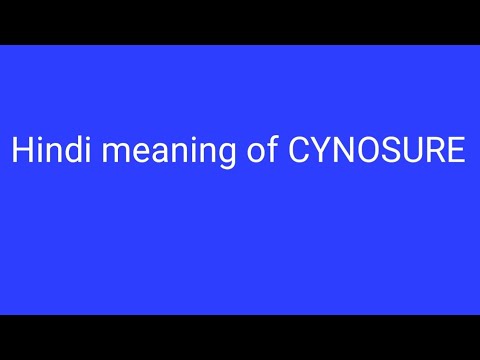 Meaning of CYNOSURE@WordsWizard