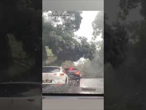 Landslide Causes Sudden Road Disaster!