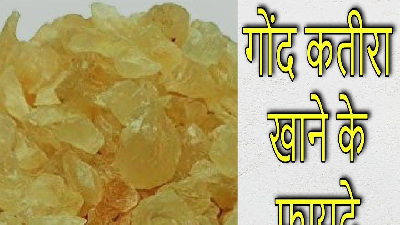 गोंद कतीरा खरीदें 🌎 ताजा और उच्च गुणवत्ता