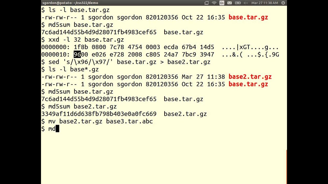 Cryptography Hash Functions Explained: MD5, SHA & Collision Examples π