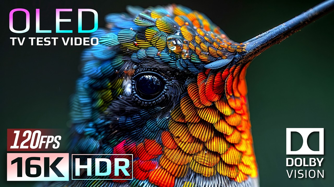 16K HDR Dolby Vision 120fps Nature OLED Demo 🌿