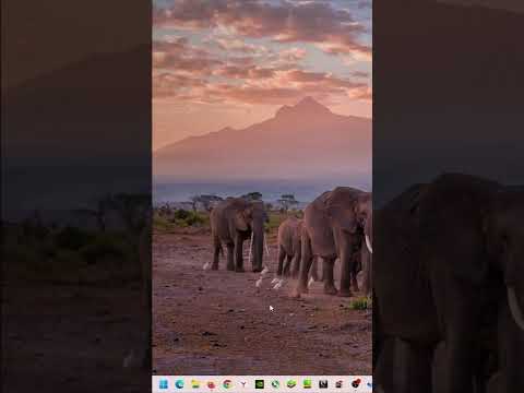 Set Automatic Time in Windows 11 ⏰