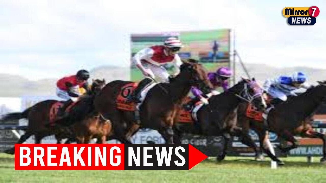 Auckland Bettor's $7 Wager Could Turn Into $732,000 Melbourne Cup Jackpot 🏆