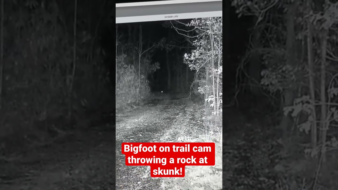 Mysterious Bigfoot Caught on Camera Throwing a Rock at a Skunk! ๐ฆถ