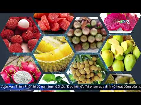 CƠ HỘI CHO CÁC START UP VIỆT XUẤT KHẨU SẢN PHẨM | Cà Mèn