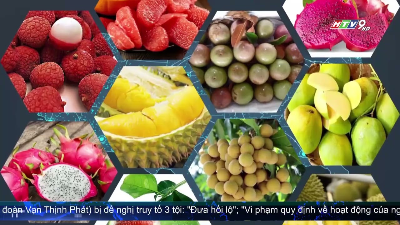 Cơ Hội Vàng Cho Startup Việt Xuất Khẩu Sản Phẩm 🎯