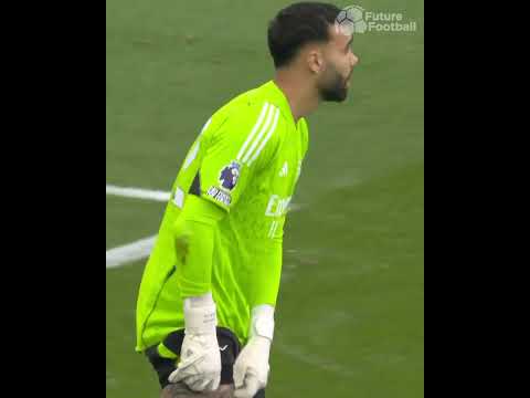 David Raya Crazy Saves 🔥