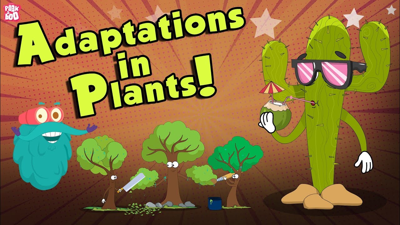 Plant Adaptations Explained 🌱 | Dr Binocs Show