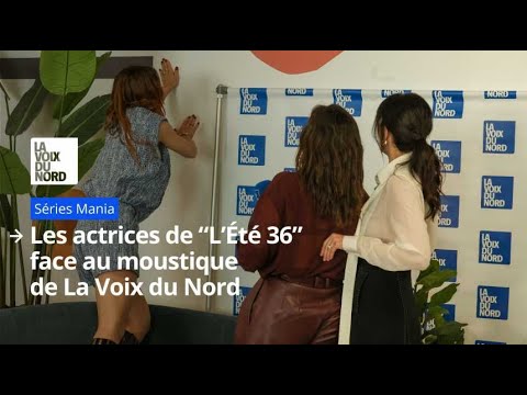 Insolite : un moustique interrompt une interview avec les actrices de 'L'Été 36' 🦟