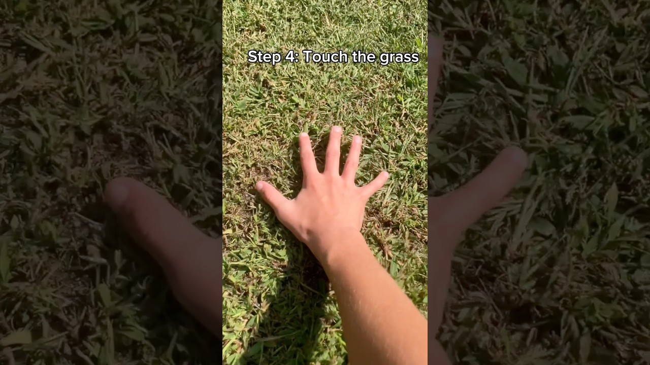 Learn How to Touch Grass Like a Pro 🌱 (Beginner's Guide)