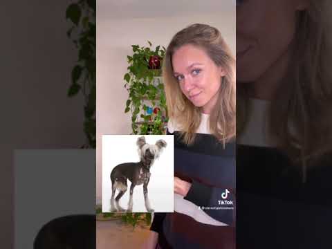 Have you heard of Steganography? Watch my vlogs from SANS SEC401 #ad #cybersecurity #encryption