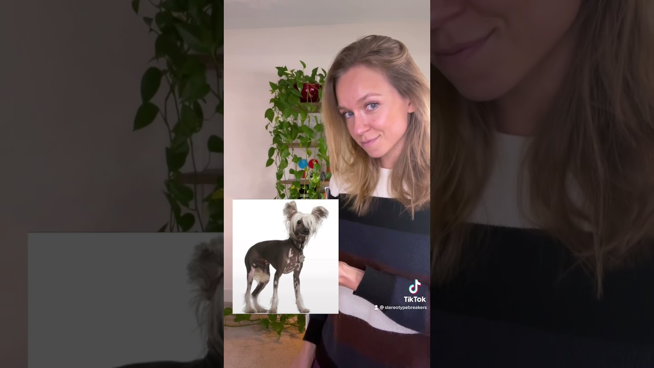 Discover Steganography: Secrets Hidden in Plain Sight π