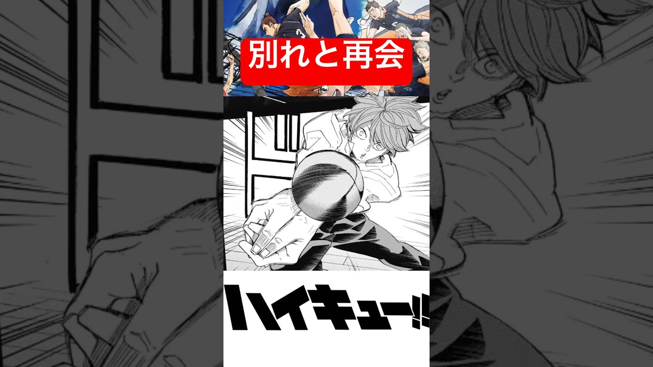 別れから再開までの流れが綺麗すぎるんよ！！#ハイキュー #ゴミ捨て場の決戦 #haikyuu #animeshorts #shorts