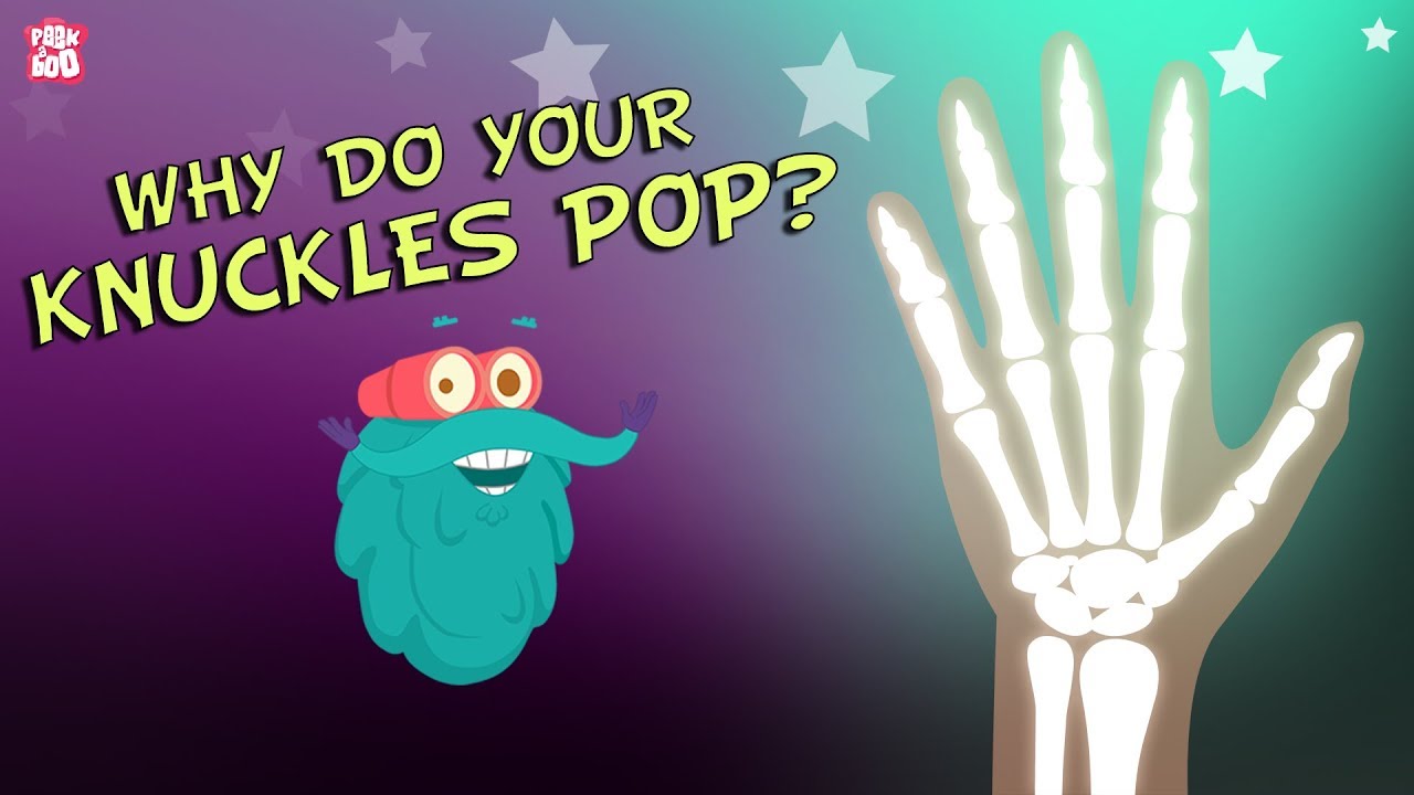 Why Do Knuckles Pop? | Dr. Binocs Show for Kids