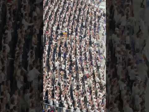 🤍 MADRIDISTAS 🤍 #realmadrid #madridistas