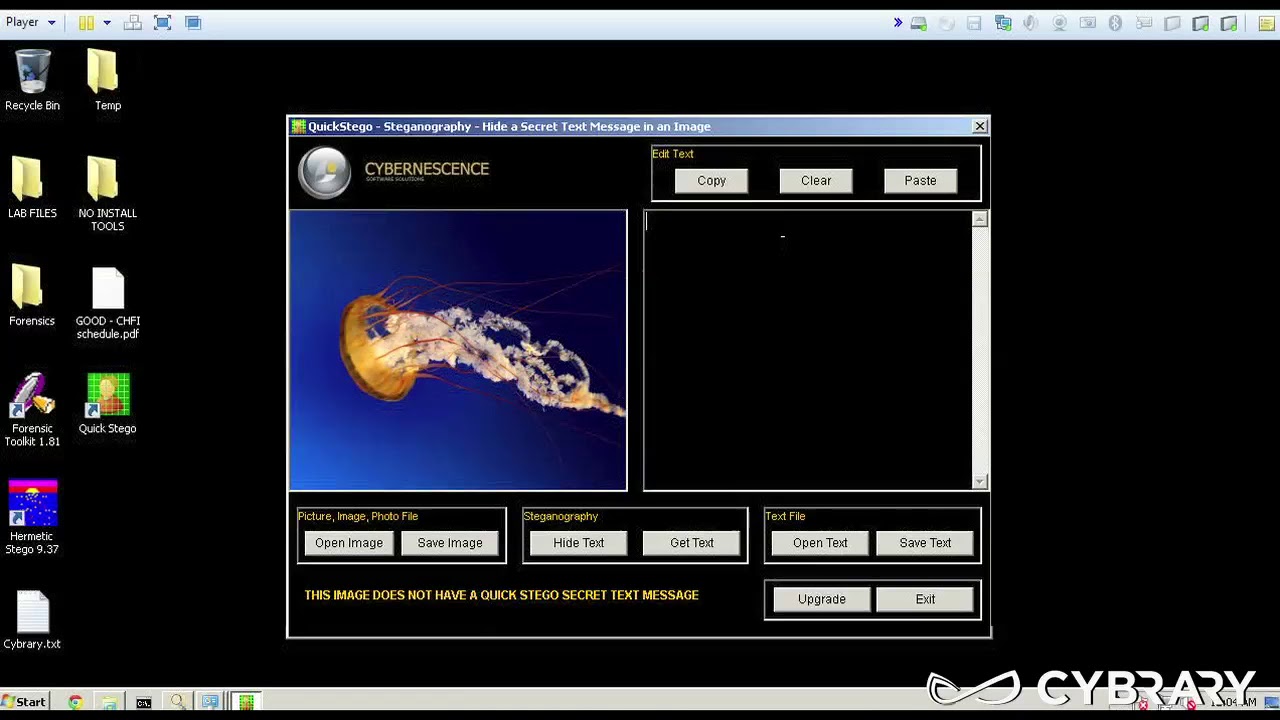 1025 67 Steganography QuickStego Lab for Computer and Hacking Forensics