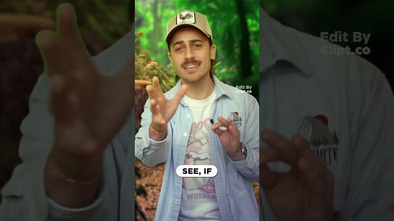 Why Do Chameleons Change Color? 🦎