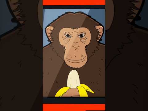 Lunettes racistes - Credits: Rudy Mancuso & Anwar Jibawi #humour #animation #cartoon #drole