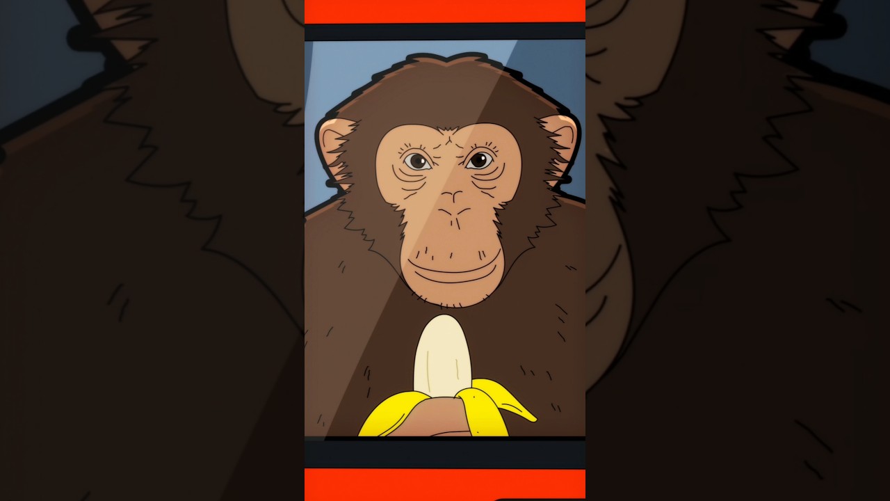 Lunettes Racistes - Humour et Animation 😂