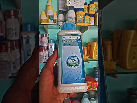 ADAMA Custodia fungicide 🌱✨ कस्टोडिया, Azoxystrobin 11% + Tebuconazole 18.3% #shorts   #shortvideo