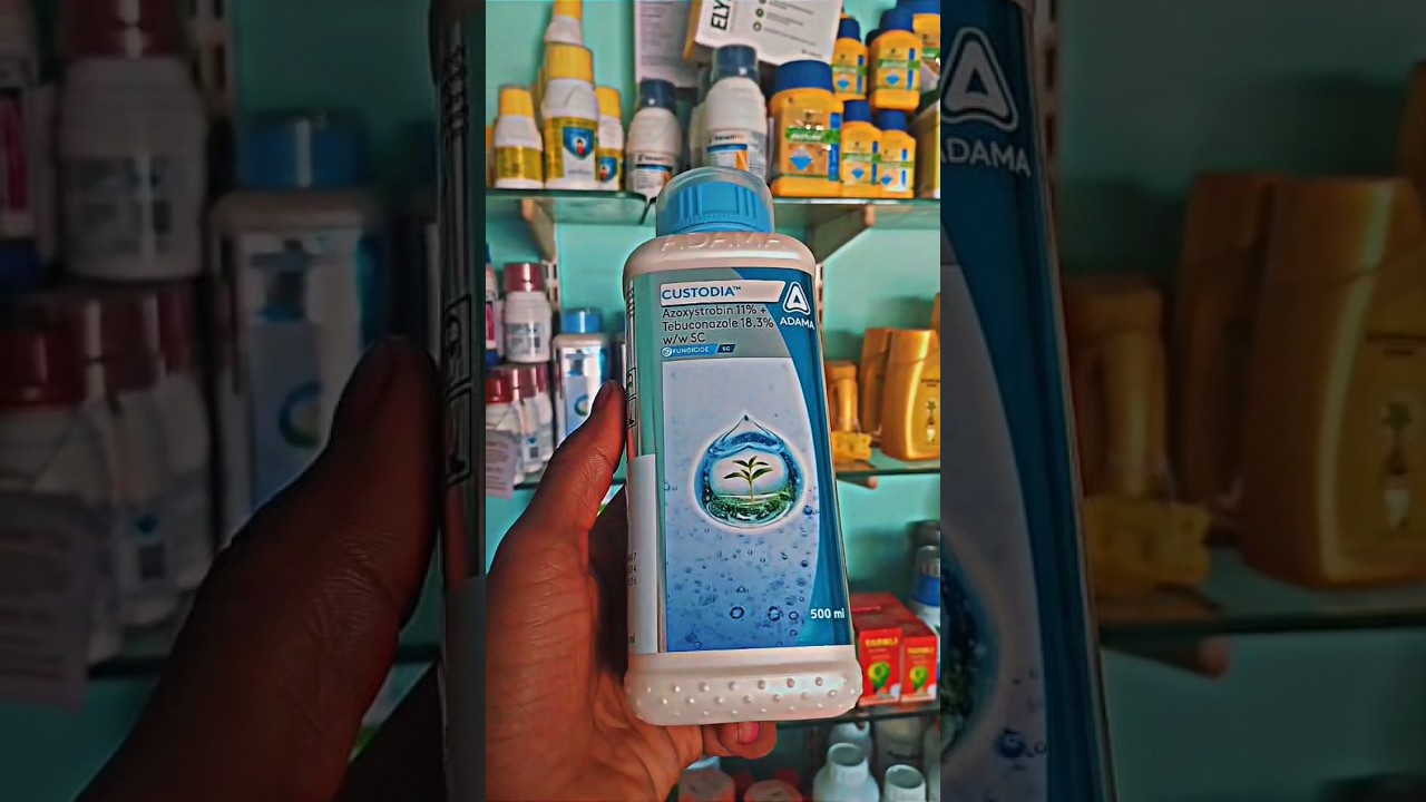 ADAMA Custodia Fungicide 🌱✨ Protect Your Crops with Azoxystrobin & Tebuconazole!