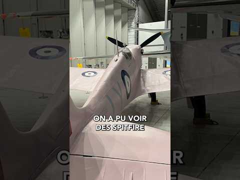 Le Camouflage Rose de la seconde guerre mondiale 🎨🦩🪖 #histoire #ww2 #insolite