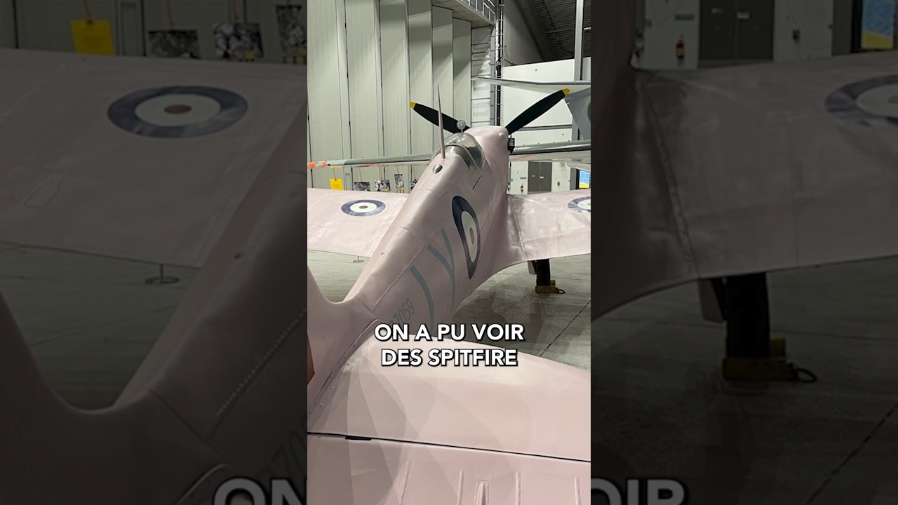 Le Camouflage Rose de la Seconde Guerre Mondiale : L'Histoire Incroyable du Mountbatten Pink 🎨