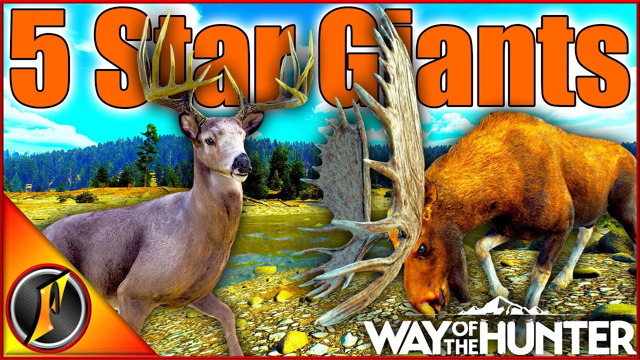Epic Whitetail & Moose Trophies + Rare Finds 🦌